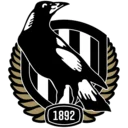 Collingwood Magpies